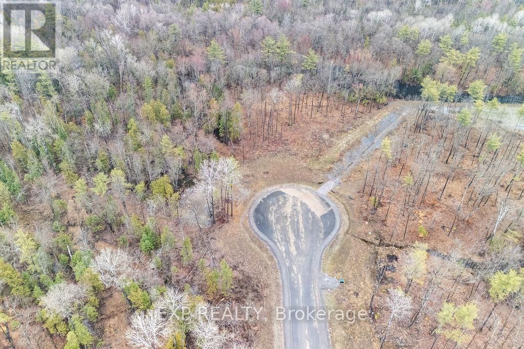 01 BLACK SPRUCE COURT Image 3