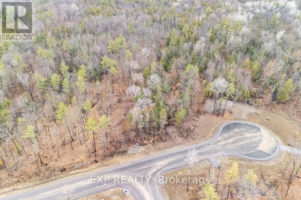 01 BLACK SPRUCE COURT Image 4