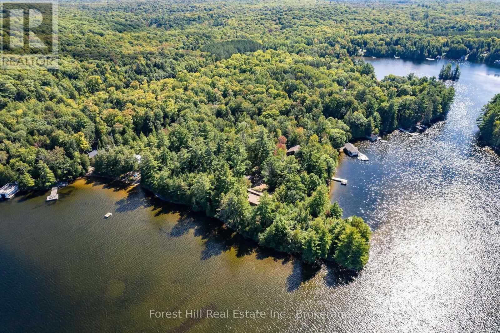 2 - 2991 MUSKOKA RD 117 ROAD Image 10