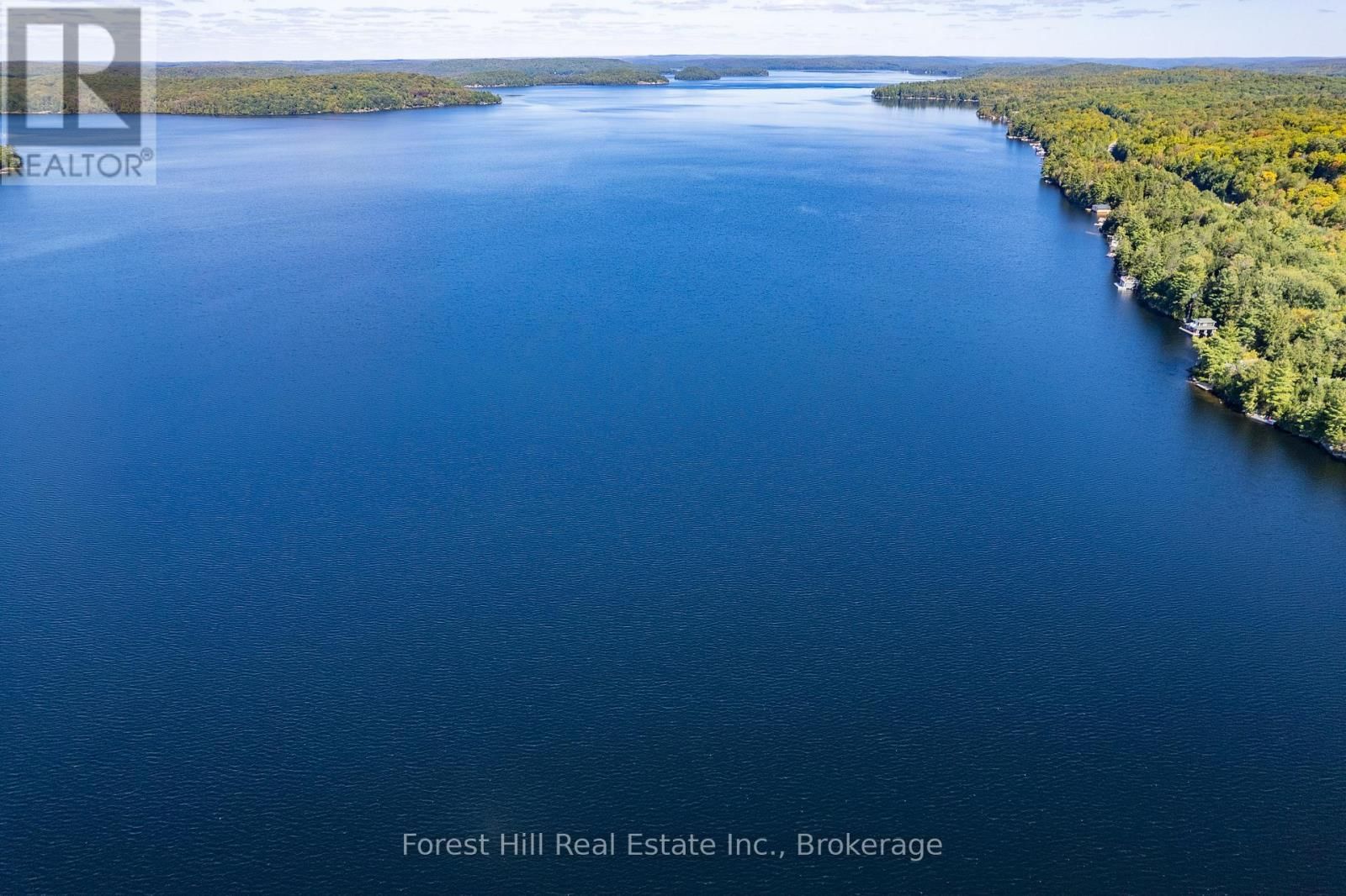 2 - 2991 MUSKOKA RD 117 ROAD Image 7