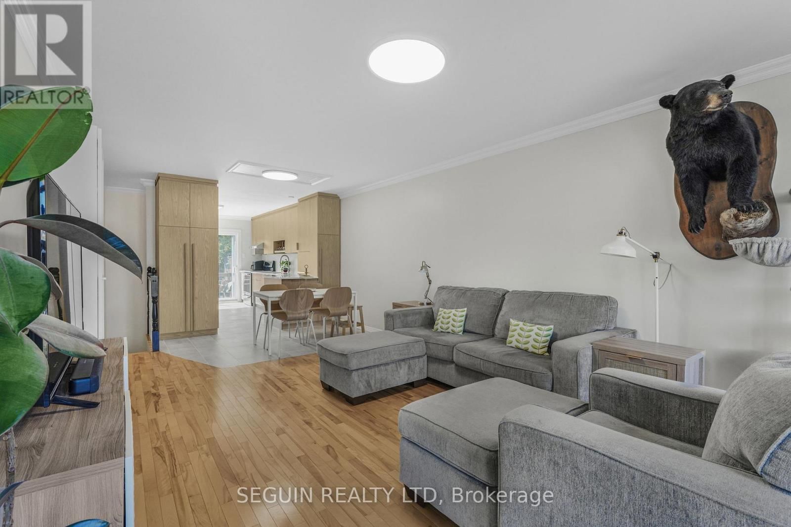 77 RICHARD STREET Image 6