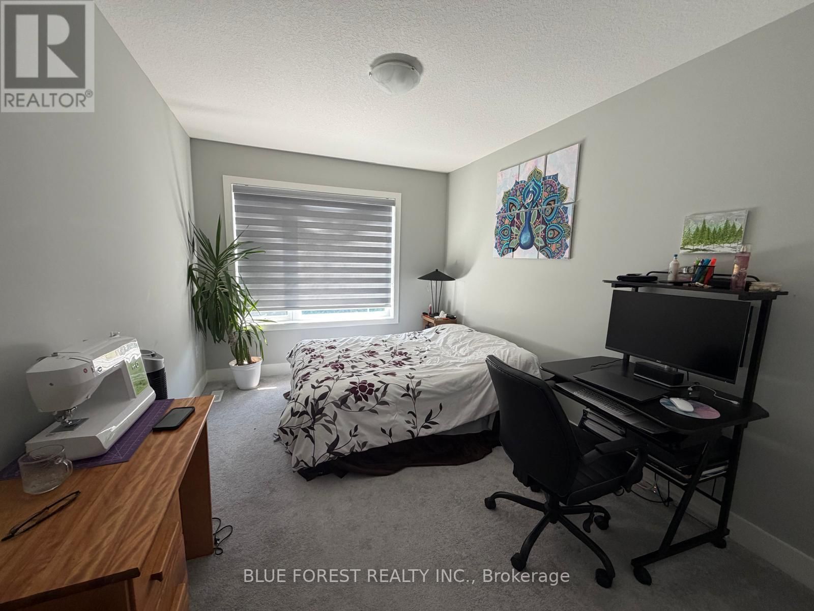 126 - 177 EDGEVALLEY ROAD Image 21