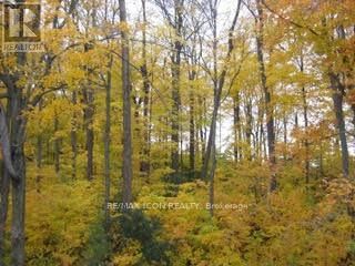 103 GLAZEBROOK CRESCENT Image 30