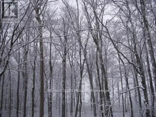 103 GLAZEBROOK CRESCENT Image 31