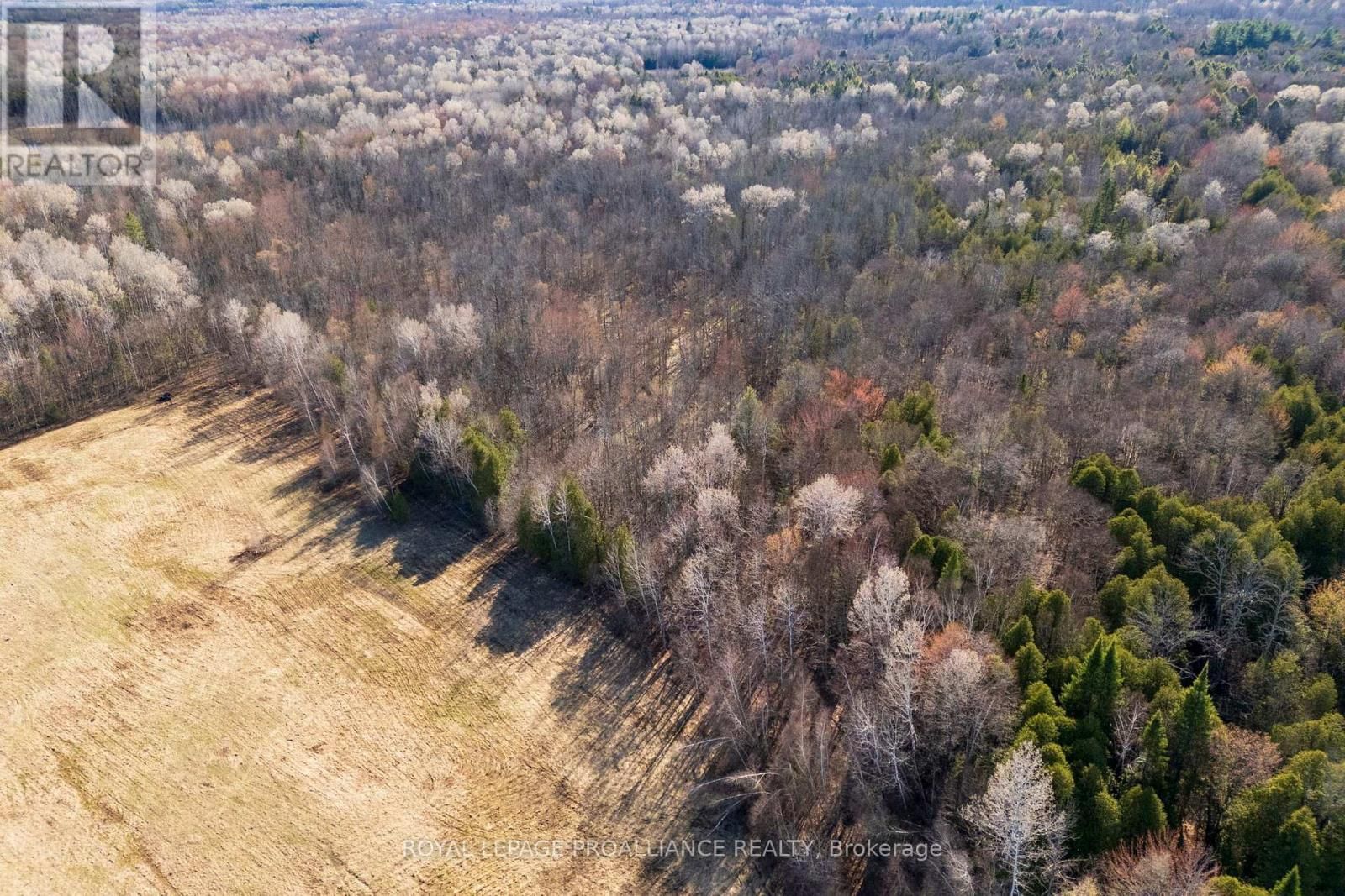 00 KNAPP DRIVE Image 10