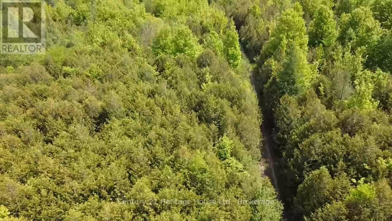 502774 SIDEROAD 9 WGR Image 7