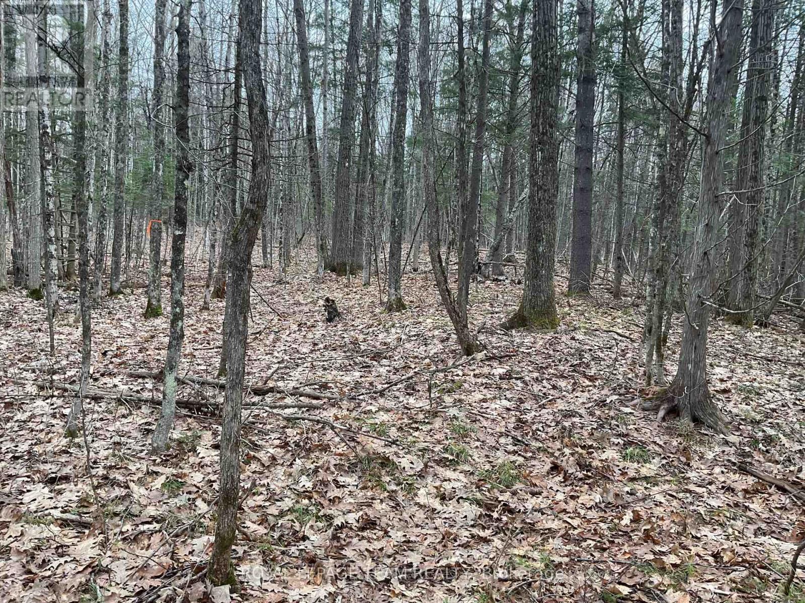 4430 WOLF GROVE ROAD Image 3