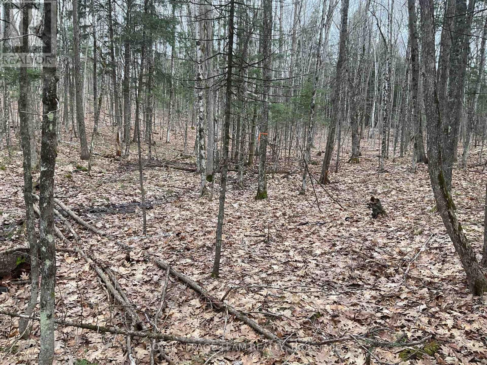 4430 WOLF GROVE ROAD Image 5