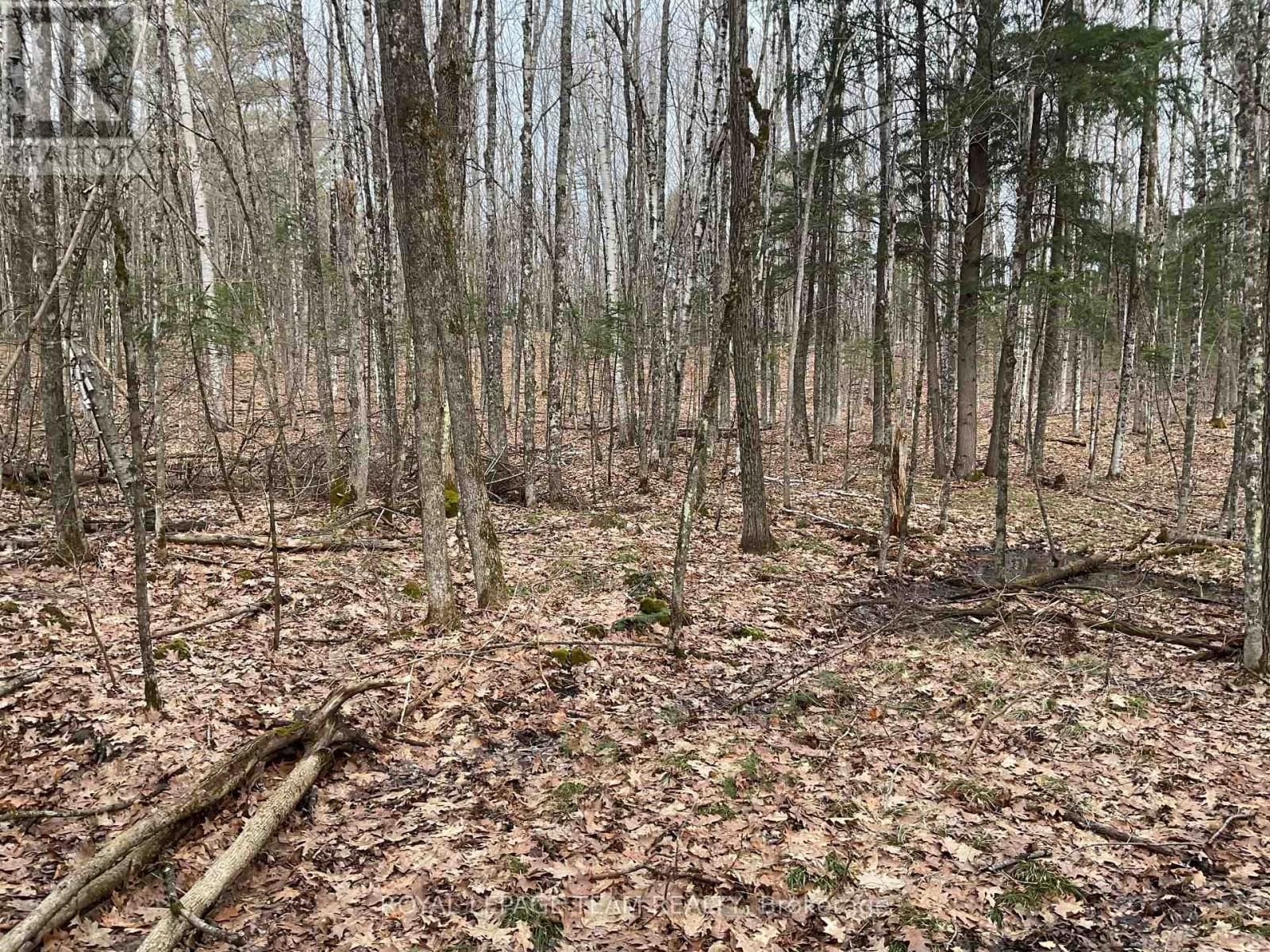 4430 WOLF GROVE ROAD Image 6