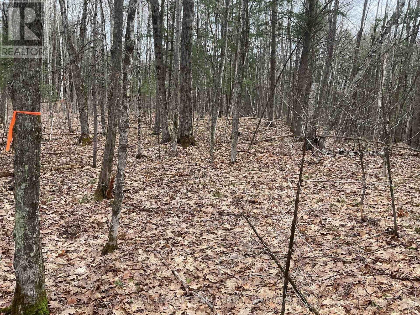 4430 WOLF GROVE ROAD Image 8