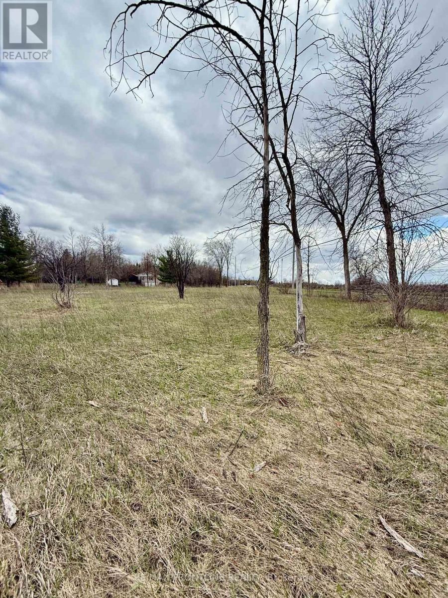 8 MORNINGSIDE DRIVE Image 6