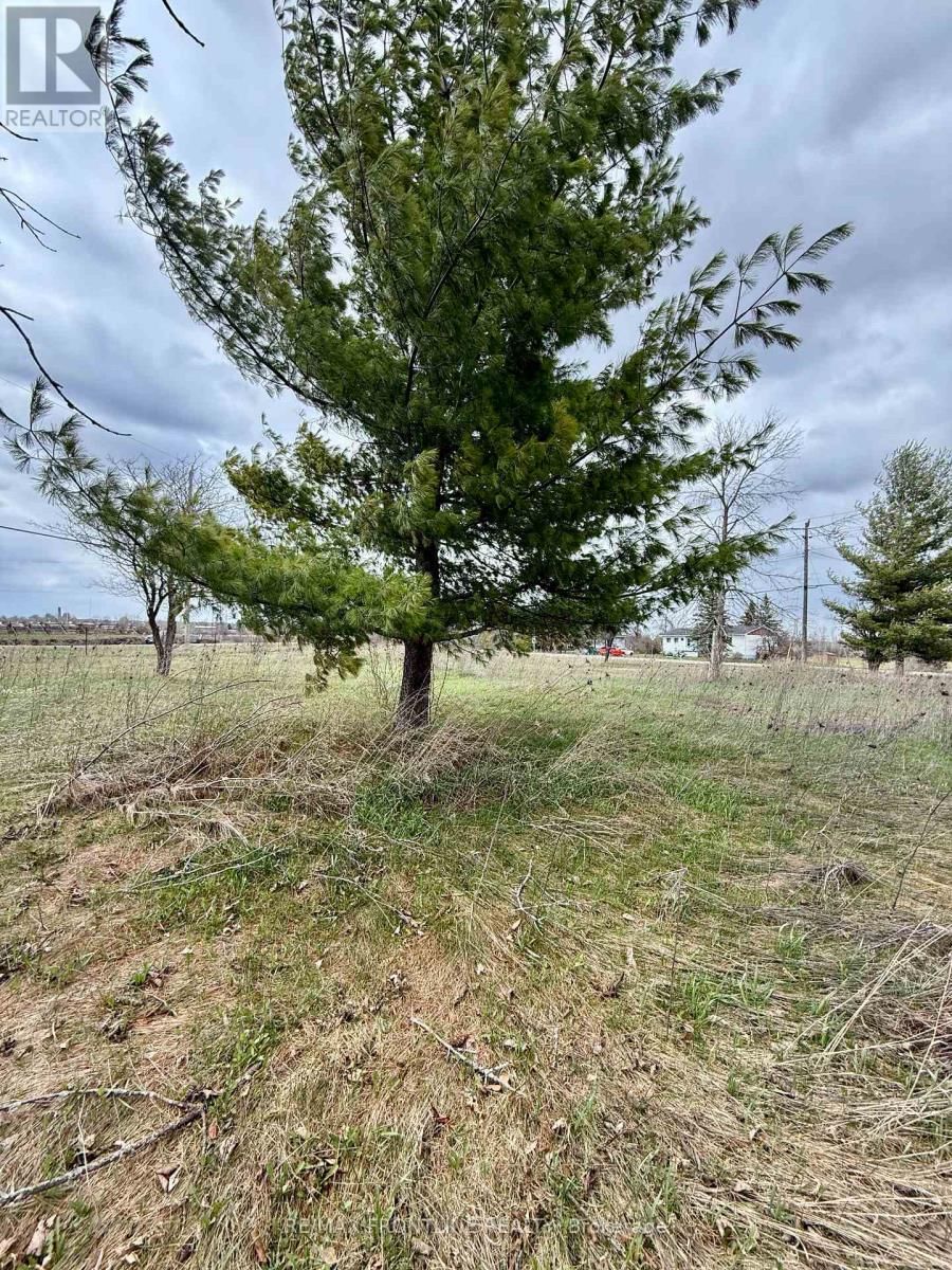 8 MORNINGSIDE DRIVE Image 8