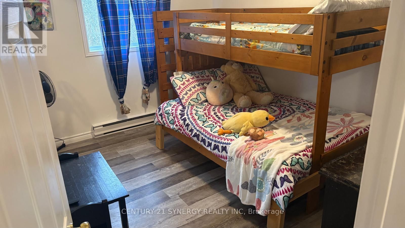 729 - 725 CONCESSION ROAD Image 11