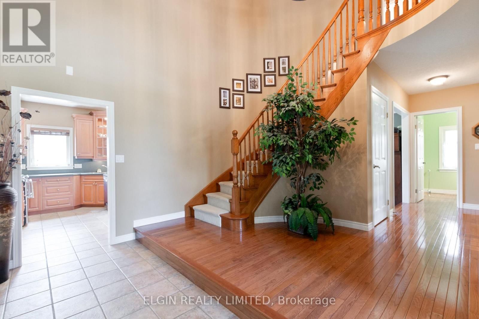 46485 SPARTA LINE Image 6