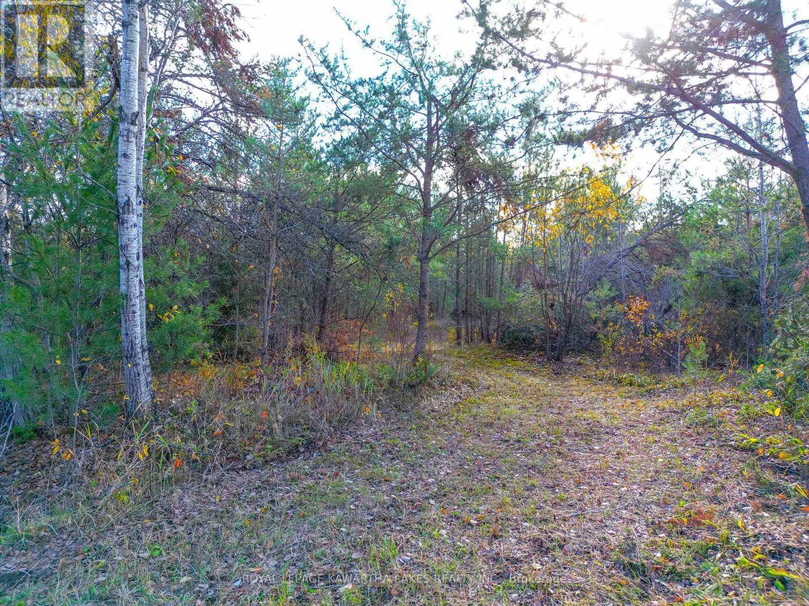 LT 36 HODGSON DRIVE Image 11