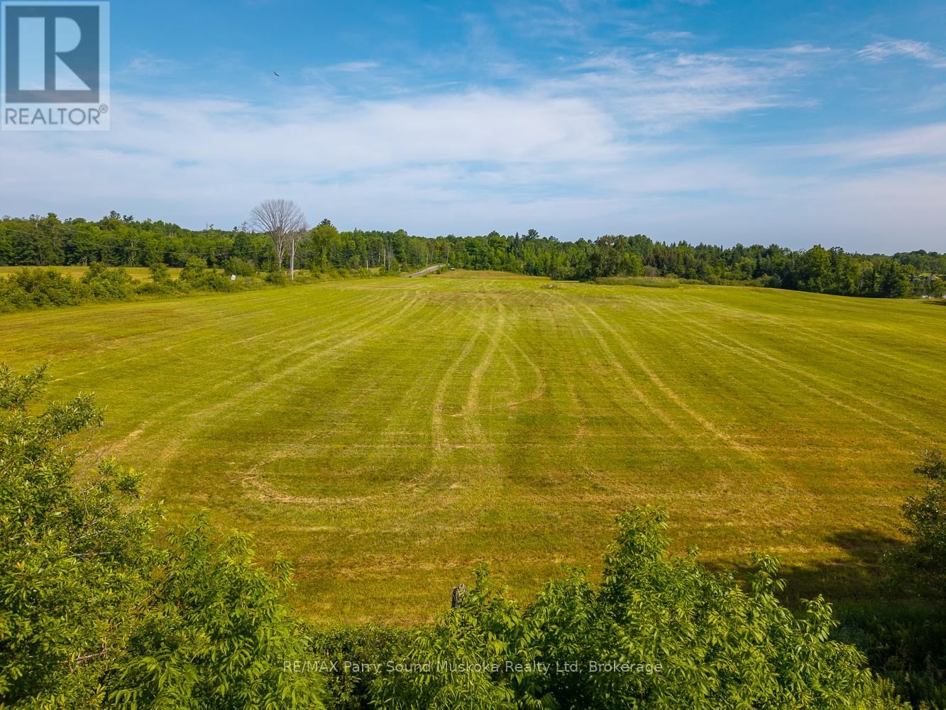 515 BALSAM ROAD Image 17