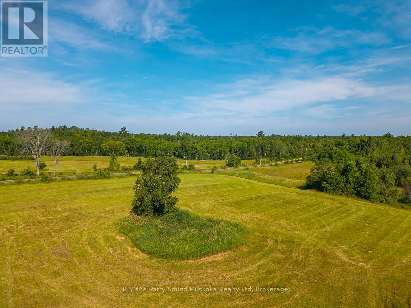 515 BALSAM ROAD Image 18