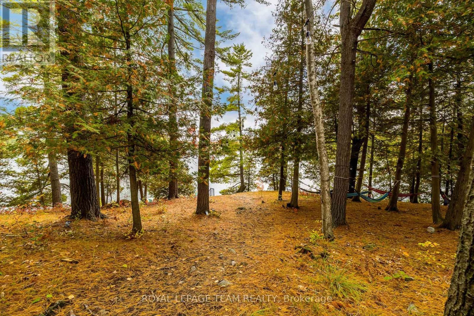 998 PIKE LAKE RTE 16 ROAD Image 36