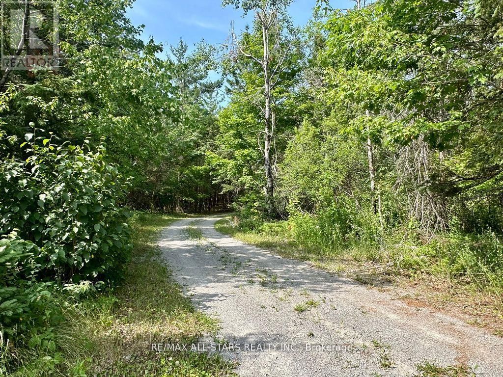 380 LEDGE ROAD Image 47