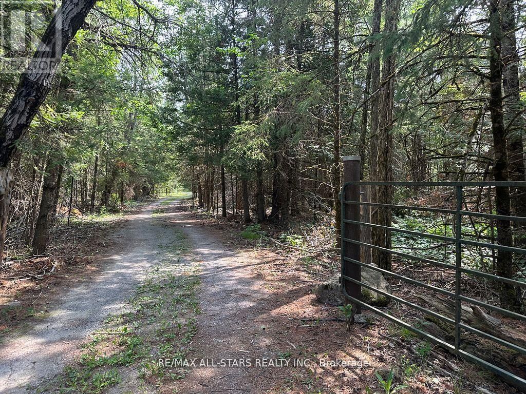 380 LEDGE ROAD Image 5