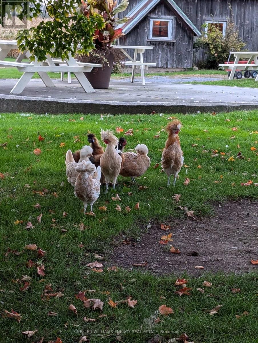 66 GILEAD ROAD, R.R. #2 ROAD Image 43