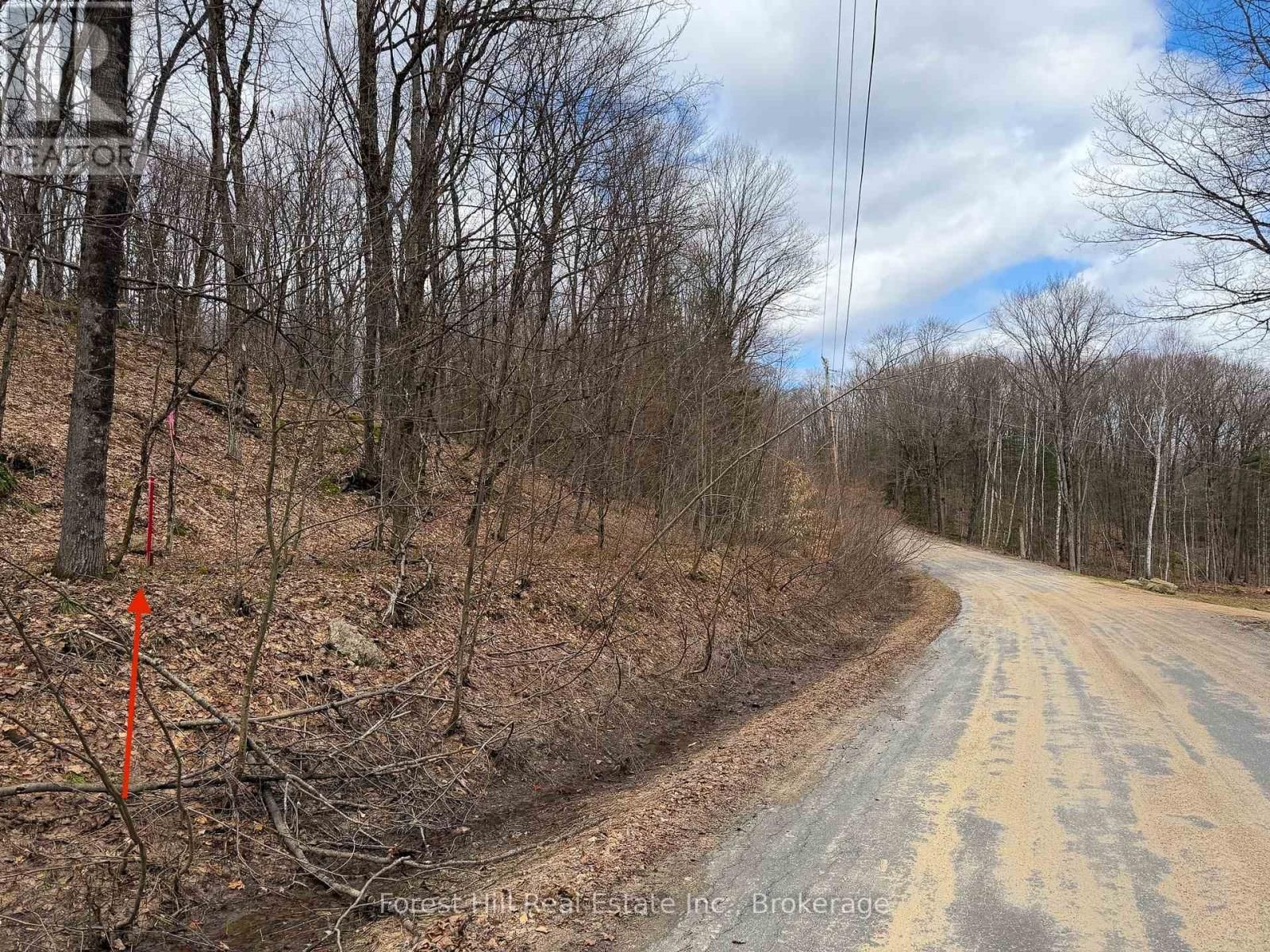 1249 BLACK RIVER ROAD Image 1