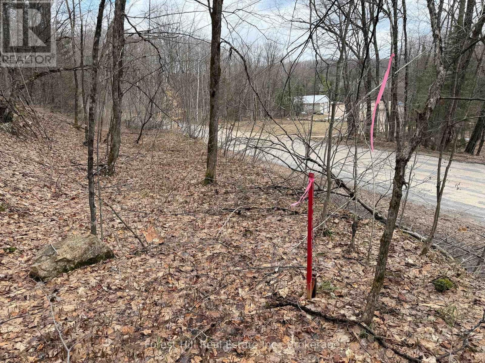 1249 BLACK RIVER ROAD Image 2