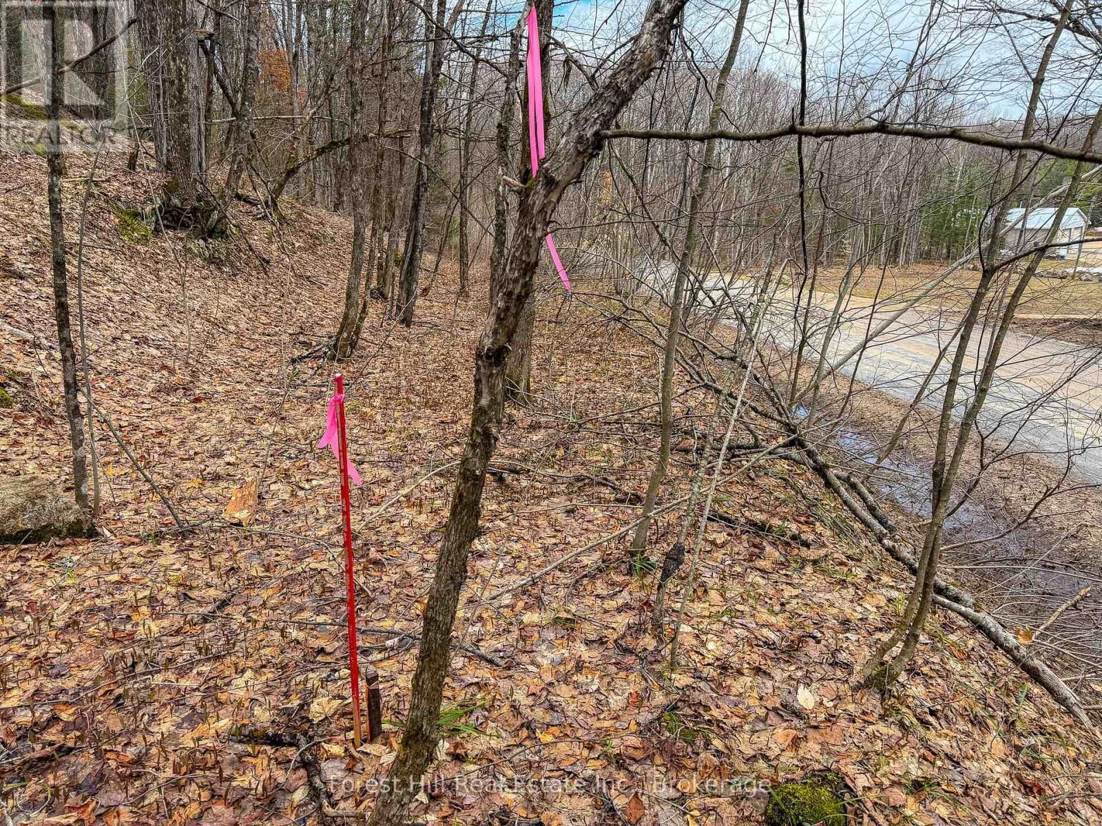 1249 BLACK RIVER ROAD Image 3