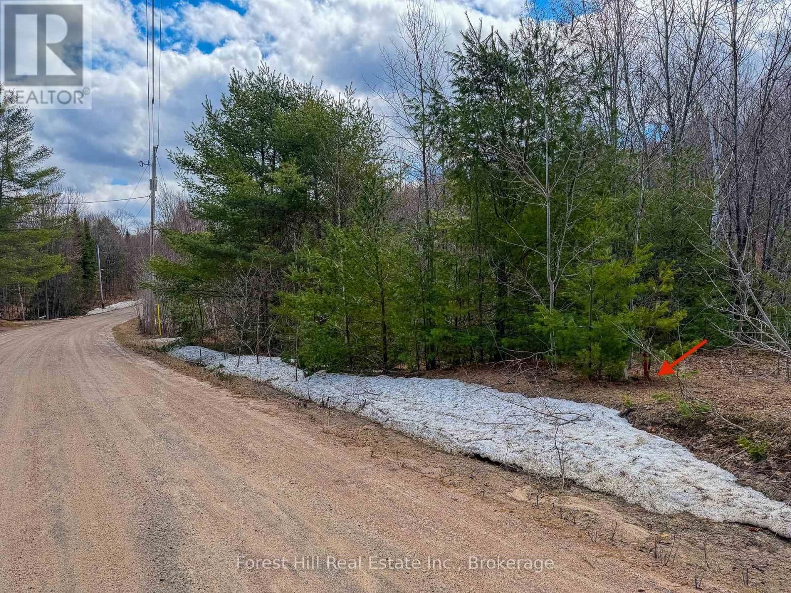 1249 BLACK RIVER ROAD Image 5