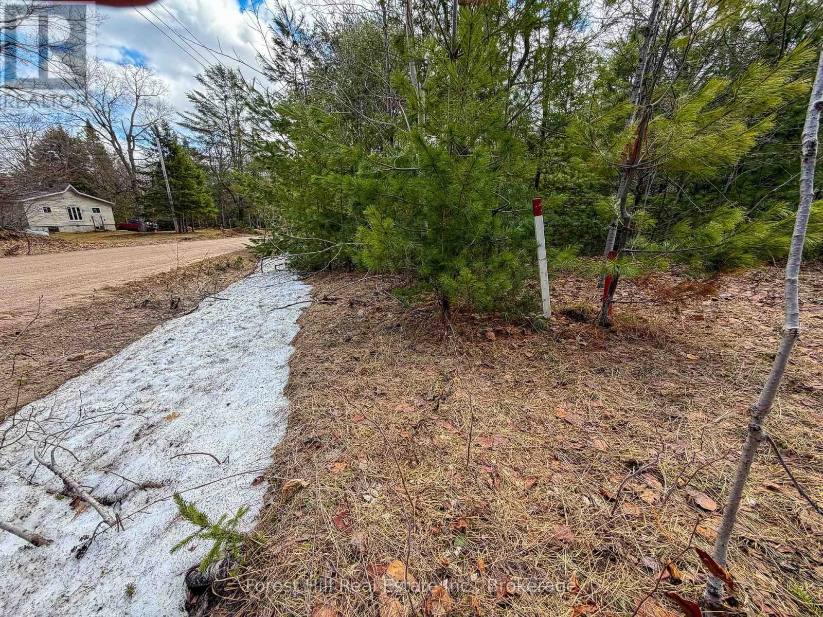 1249 BLACK RIVER ROAD Image 6