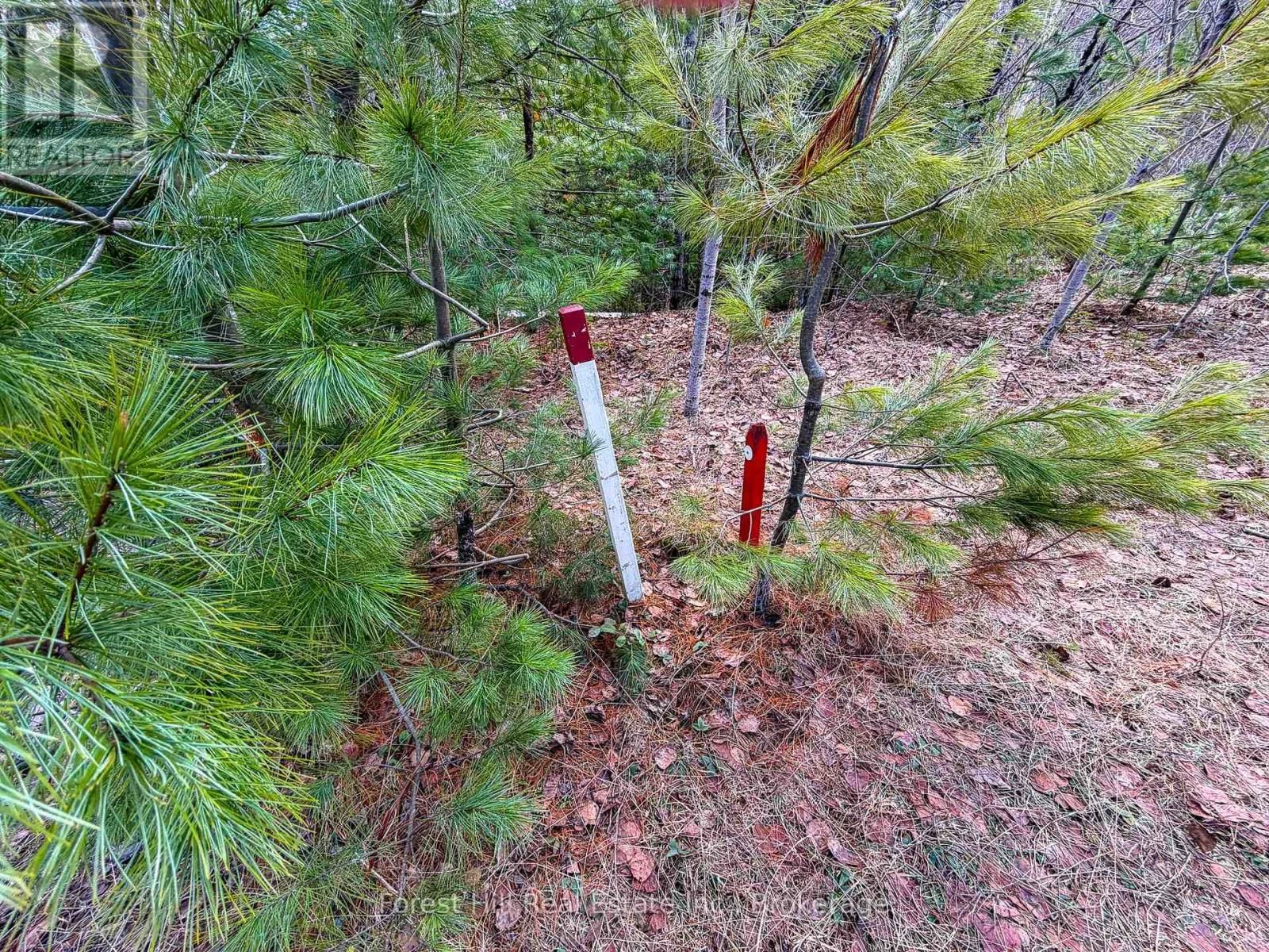 1249 BLACK RIVER ROAD Image 7