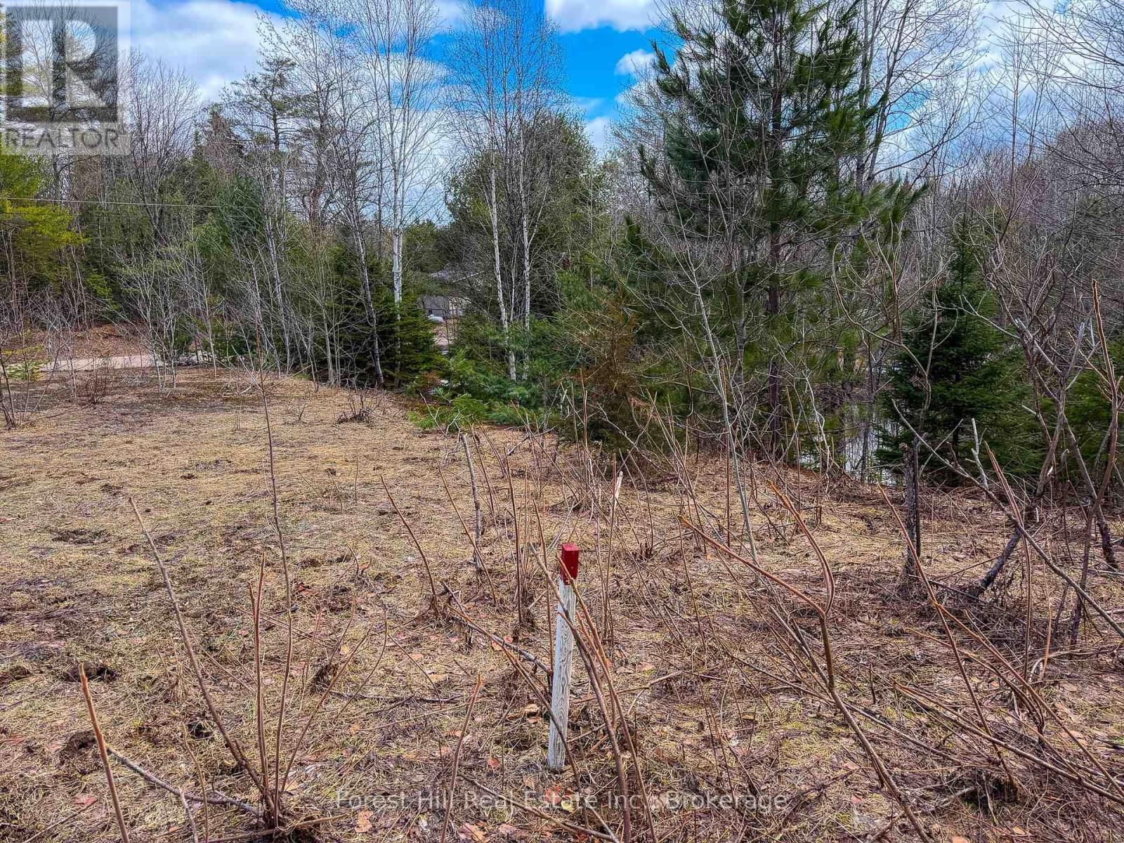 1249 BLACK RIVER ROAD Image 8