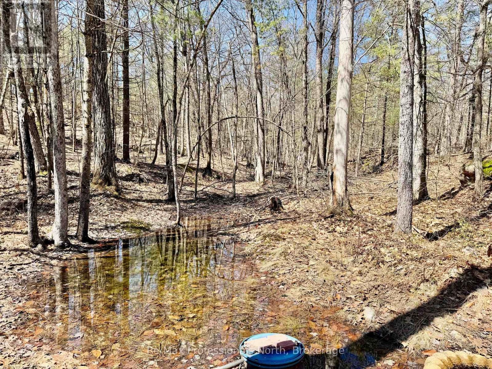 52 - 1007 RACOON ROAD Image 21