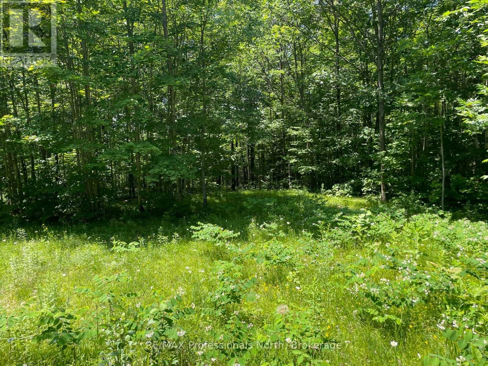 0 GLAMOR LAKE ROAD Image 10