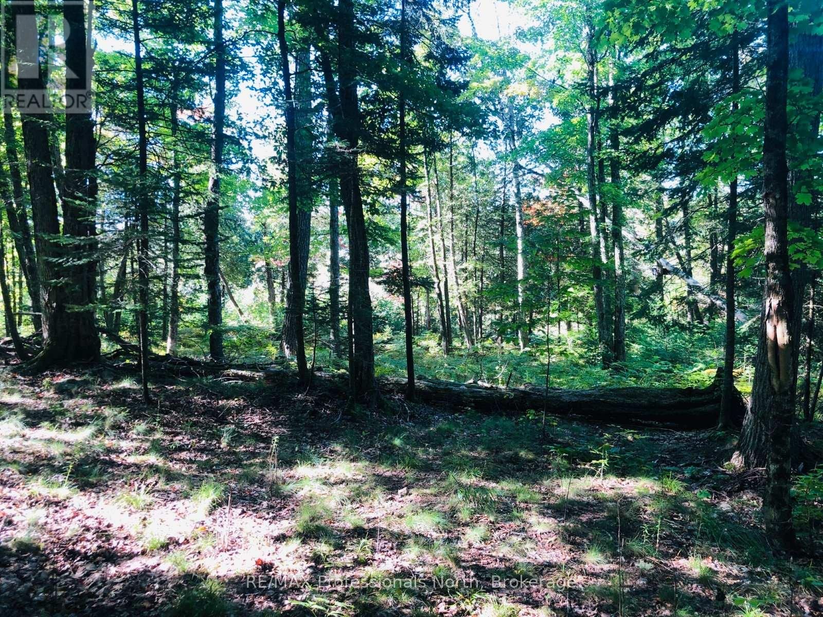 0 GLAMOR LAKE ROAD Image 12