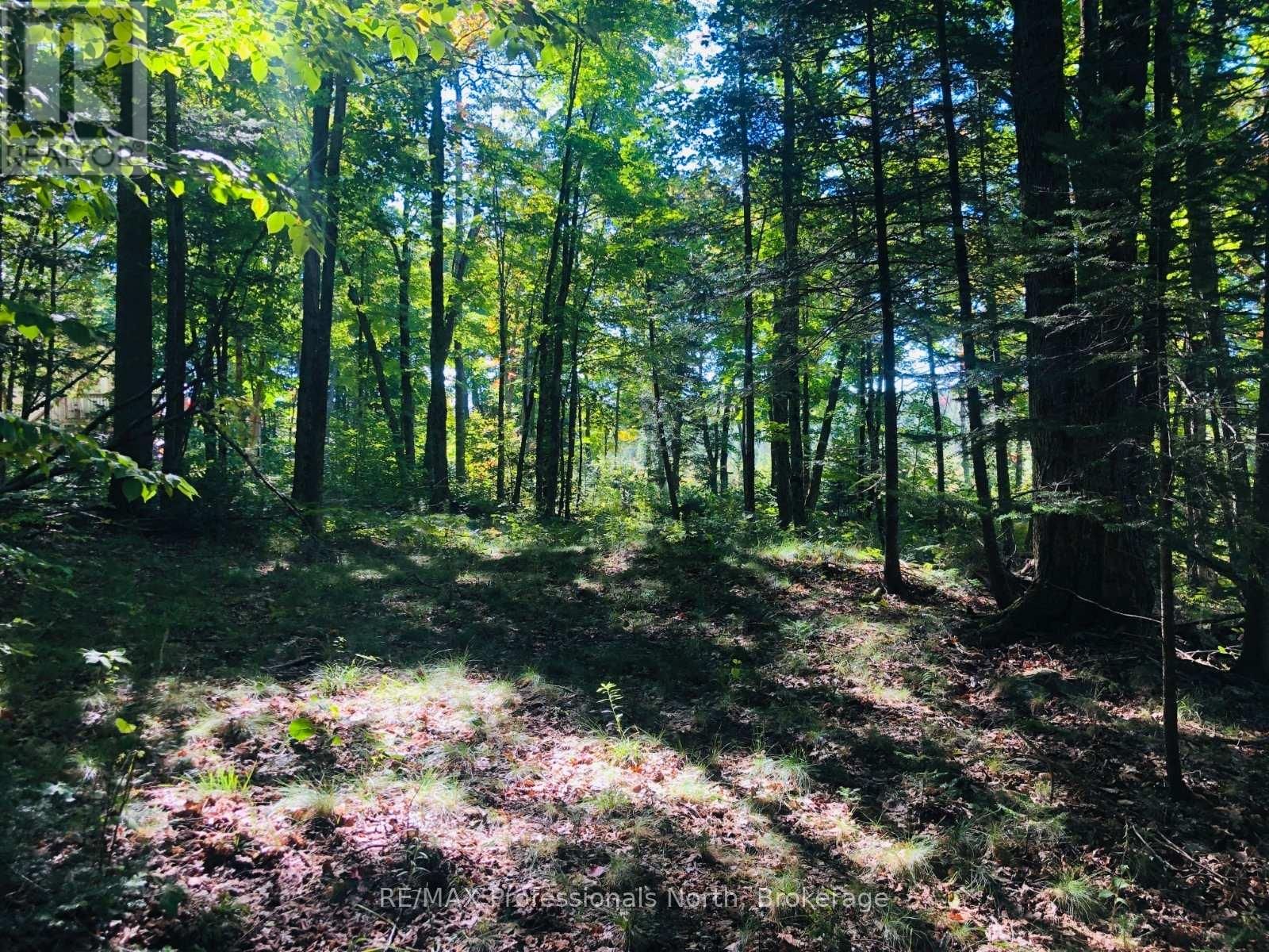 0 GLAMOR LAKE ROAD Image 13