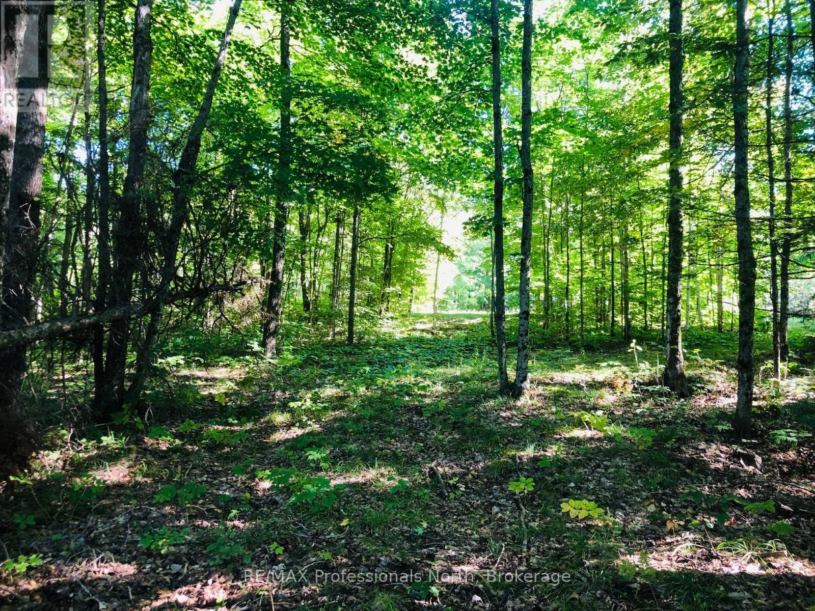 0 GLAMOR LAKE ROAD Image 14