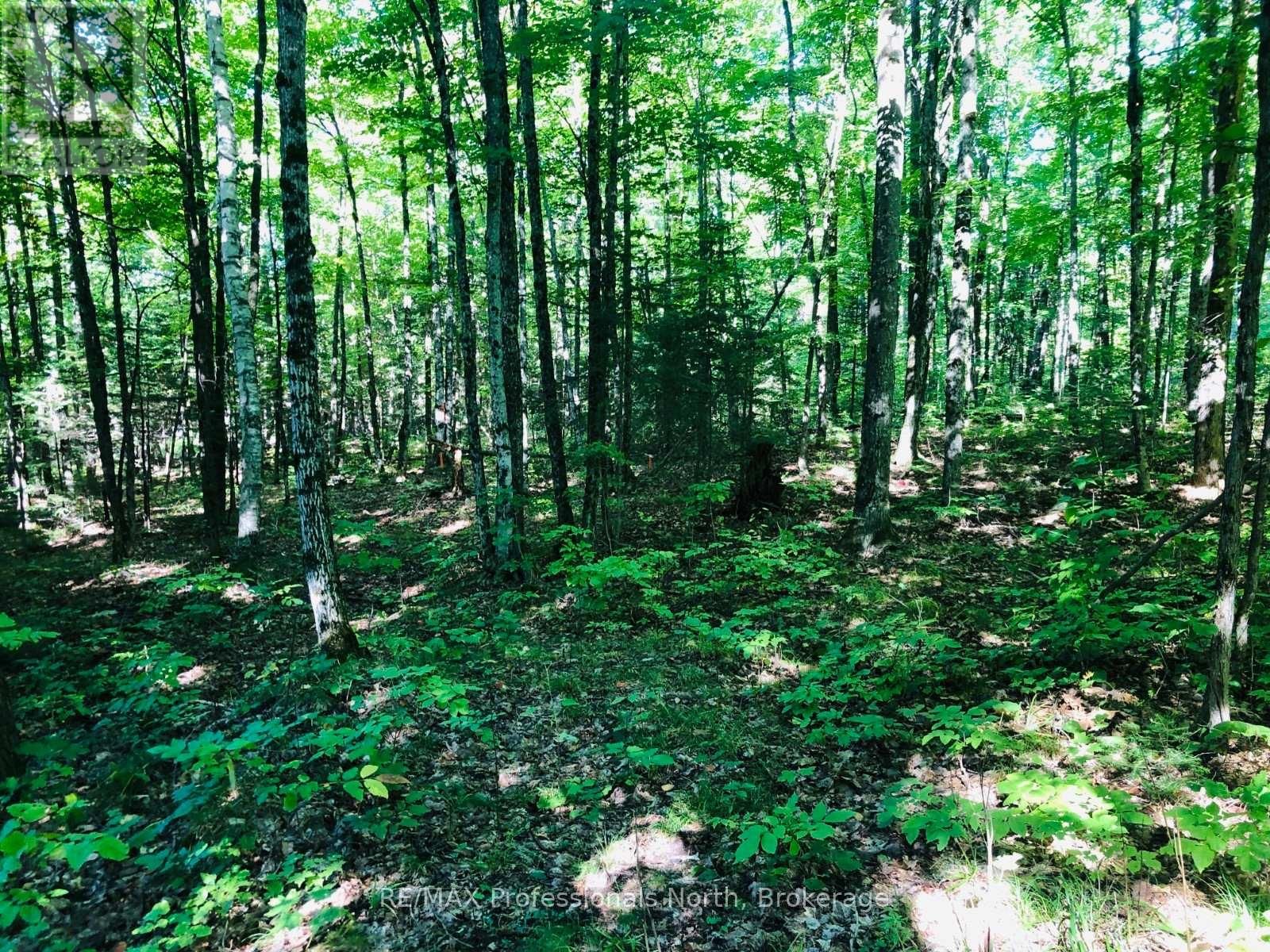 0 GLAMOR LAKE ROAD Image 16