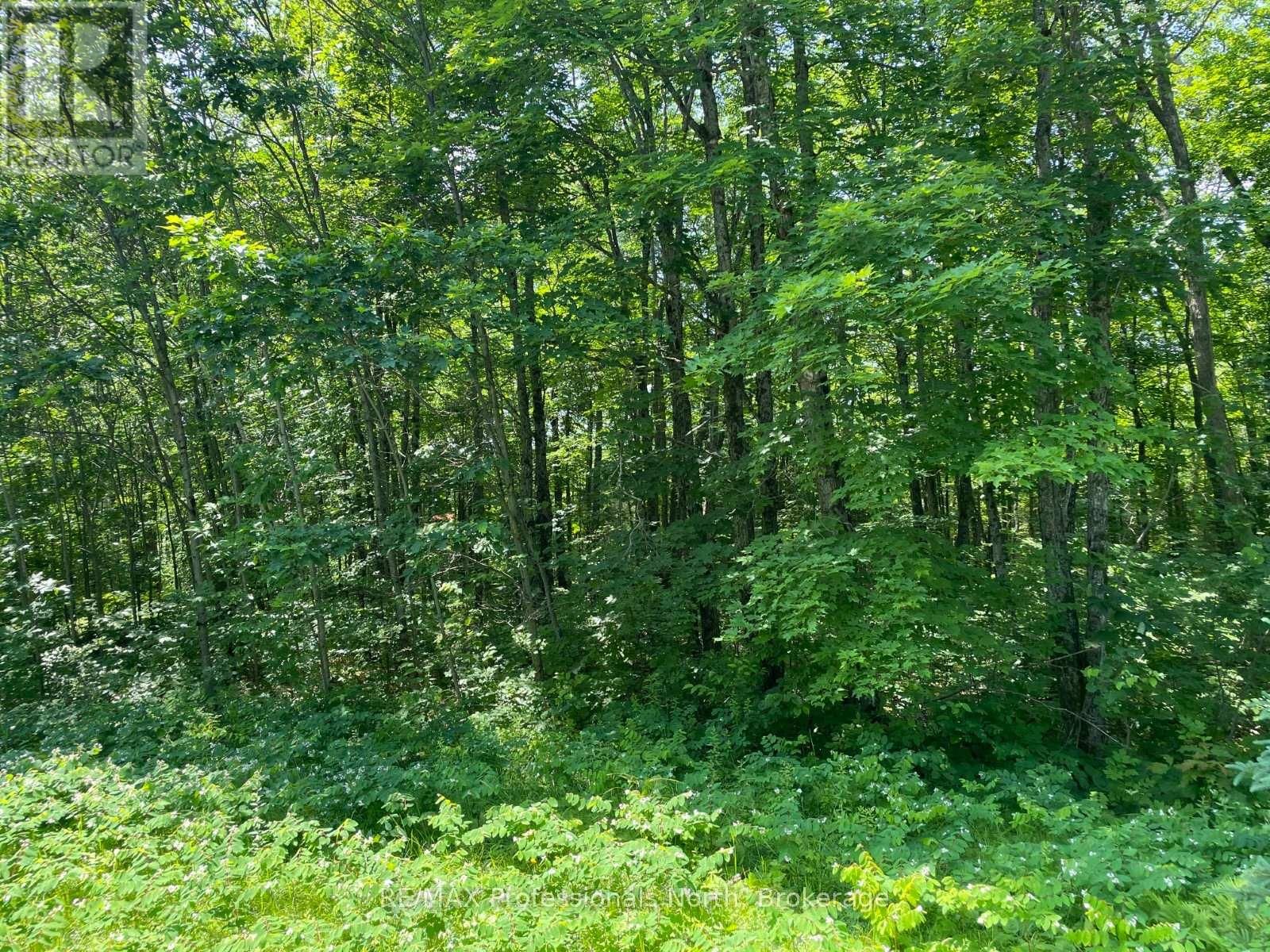 0 GLAMOR LAKE ROAD Image 3