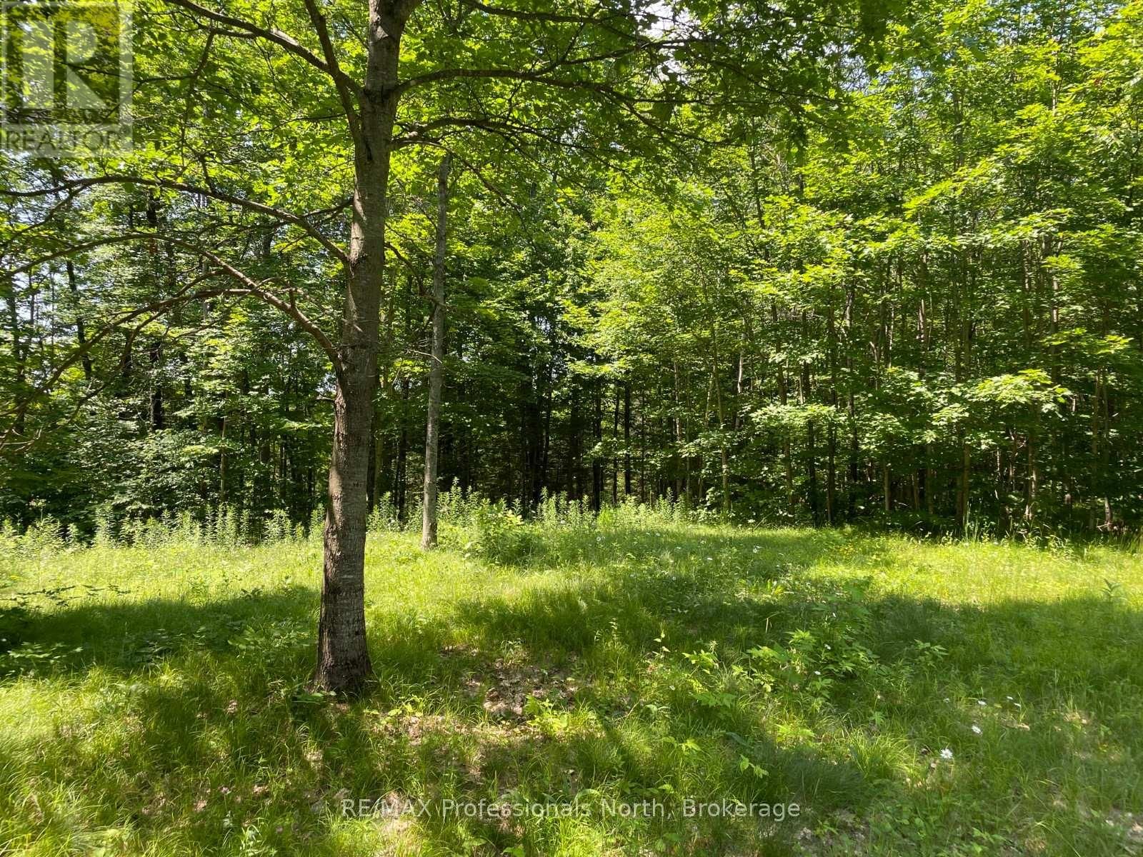 0 GLAMOR LAKE ROAD Image 5