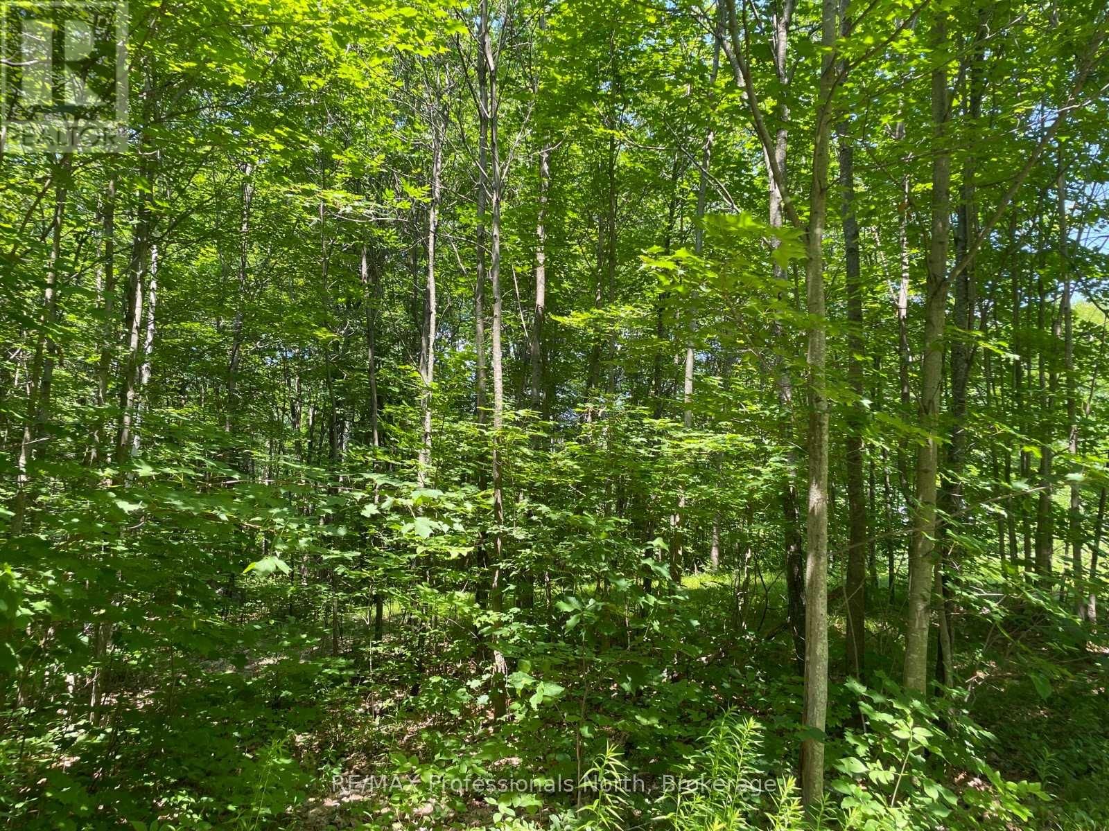 0 GLAMOR LAKE ROAD Image 8