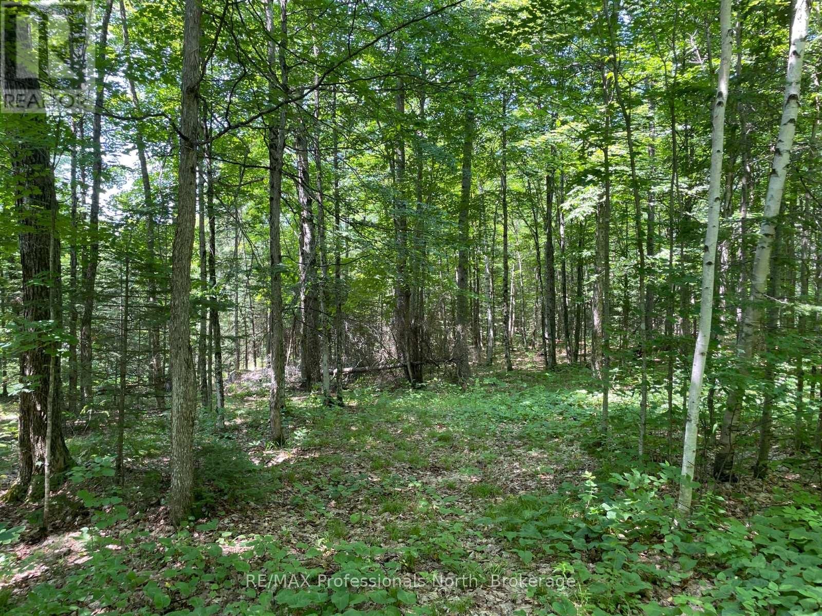 0 GLAMOR LAKE ROAD Image 9