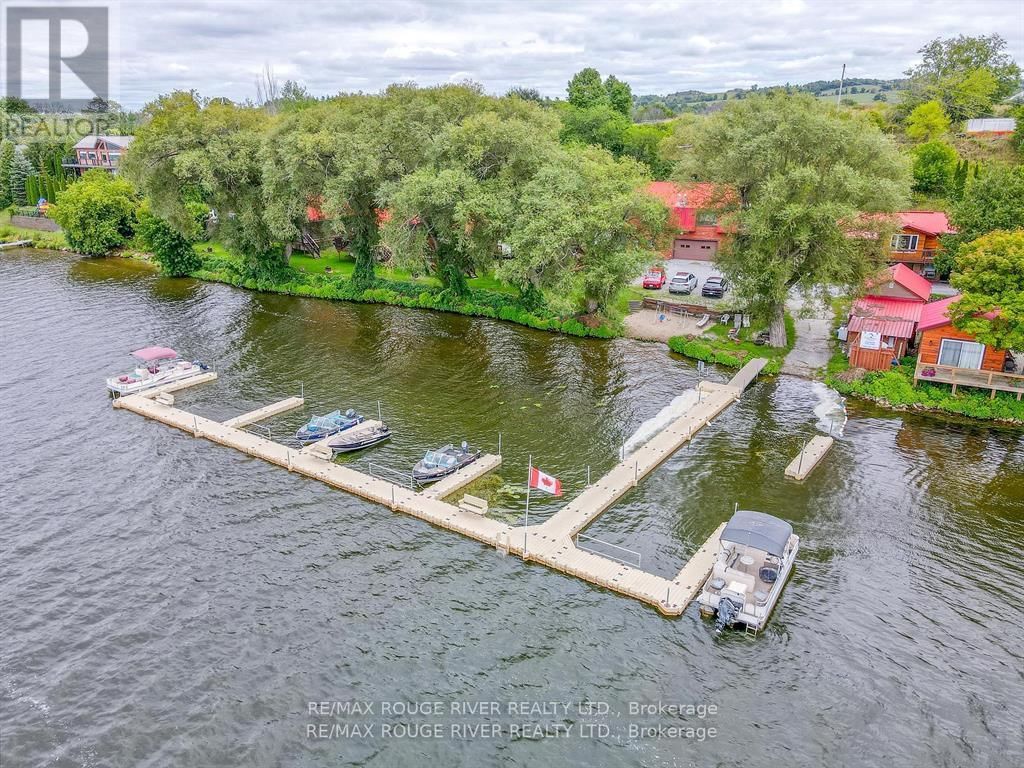 340 - 5428 YOUNG STREET Image 1