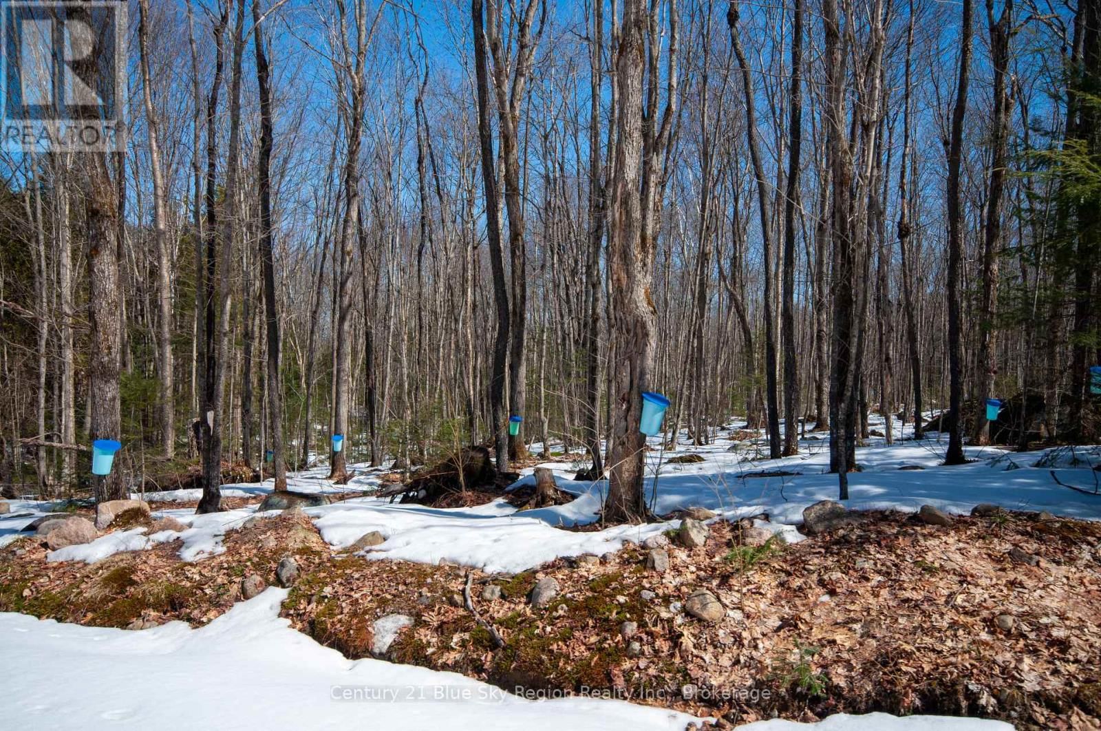 Lot 16 GRAND DESERT ROAD Image 14