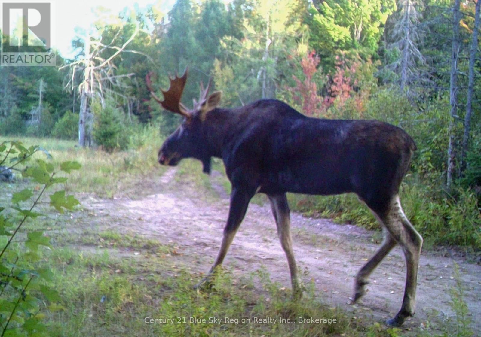 Lot 16 GRAND DESERT ROAD Image 15