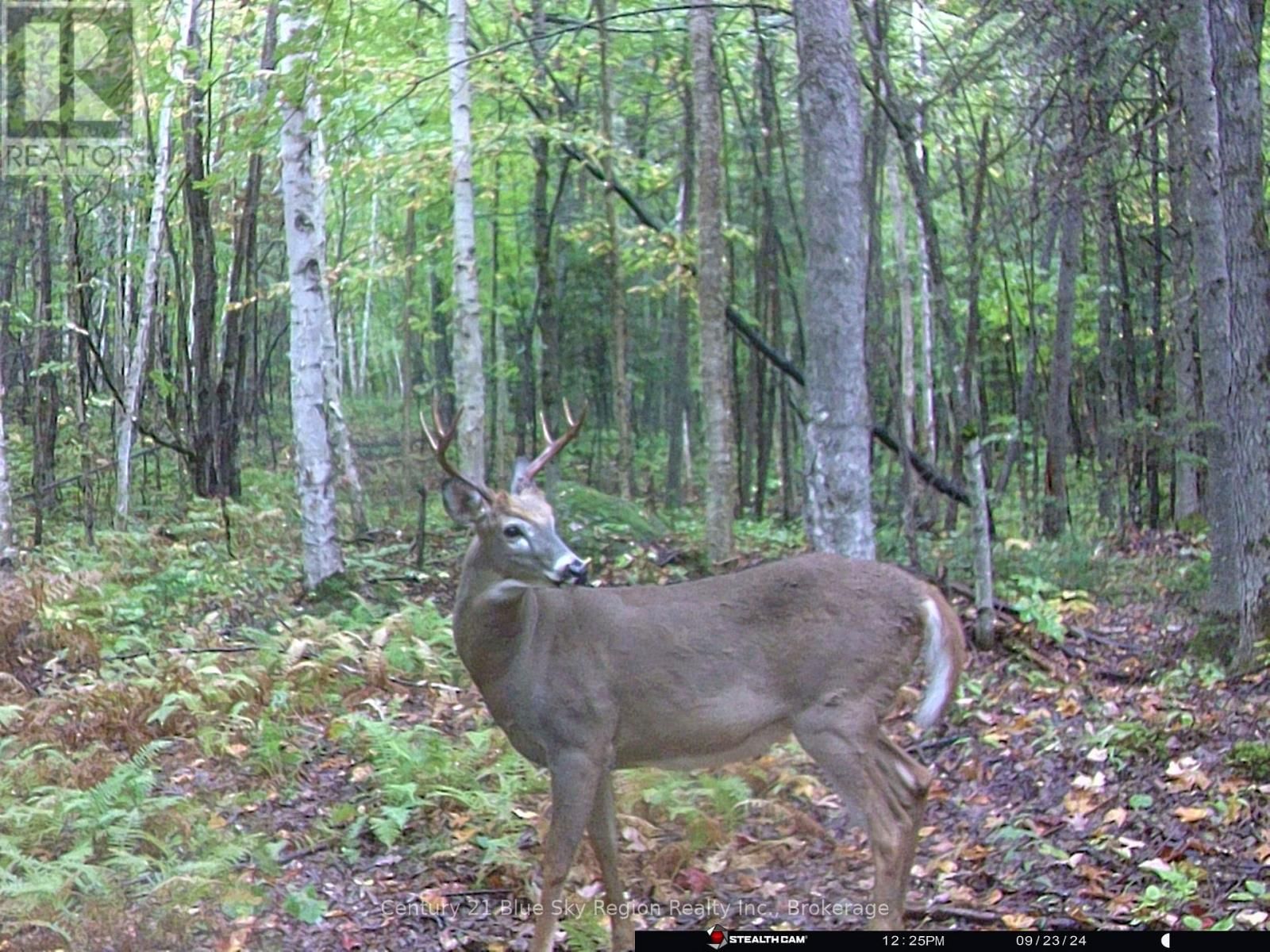 Lot 16 GRAND DESERT ROAD Image 16