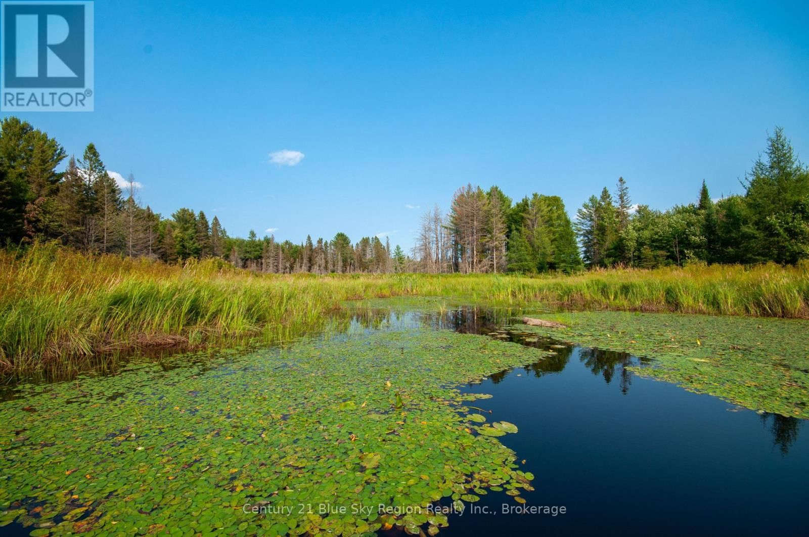 Lot 16 GRAND DESERT ROAD Image 7