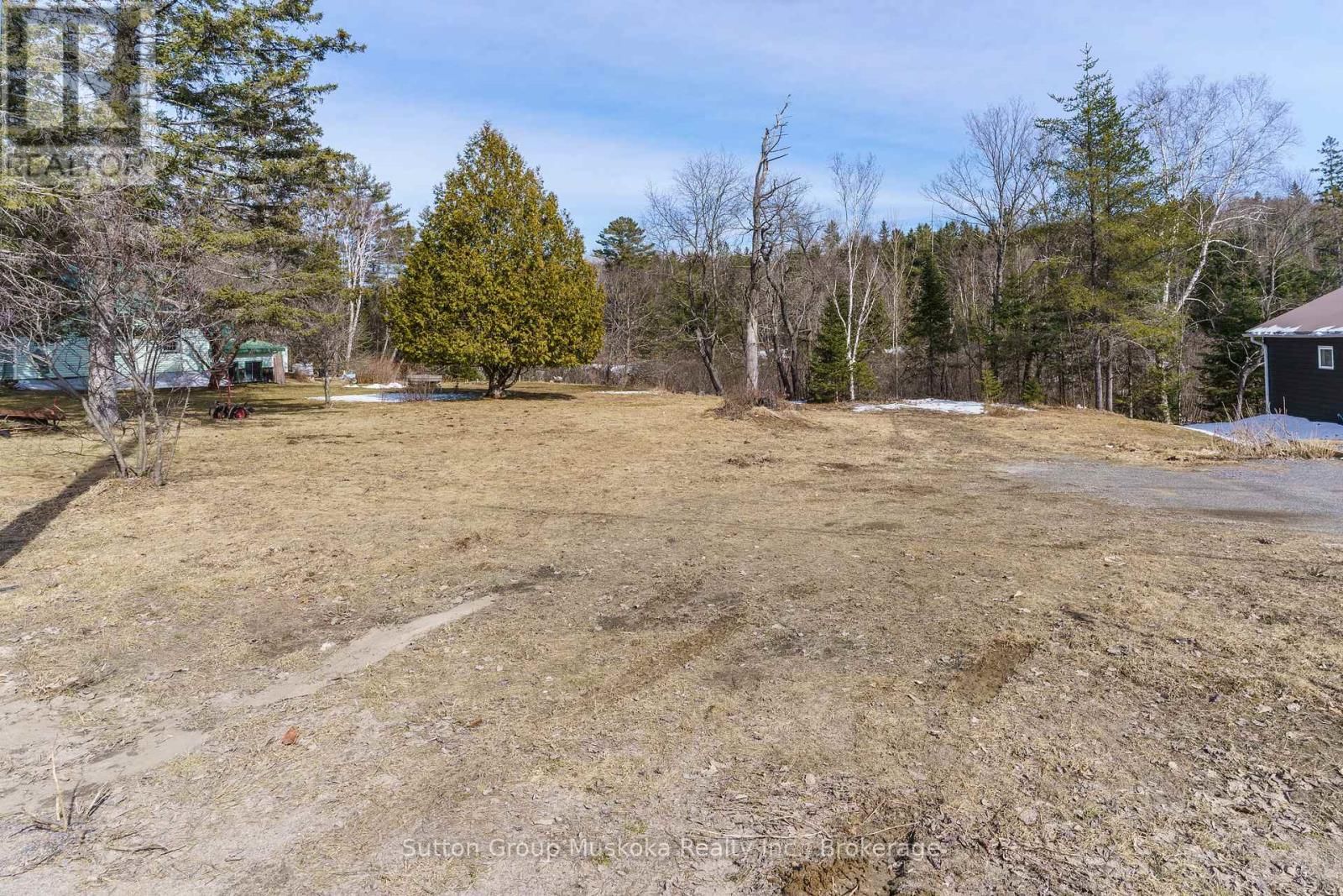 641 MUSKOKA RD 3 ROAD NORTH Image 4