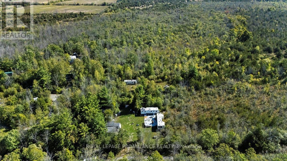 467 LIGHTHALL ROAD Image 4