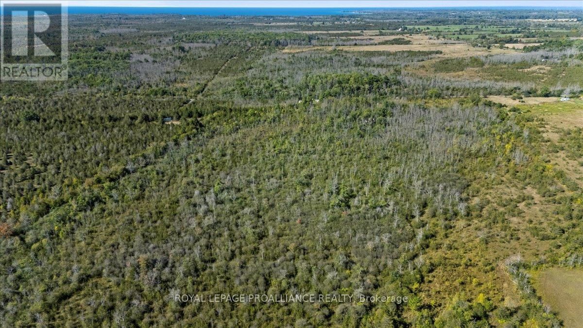 467 LIGHTHALL ROAD Image 8